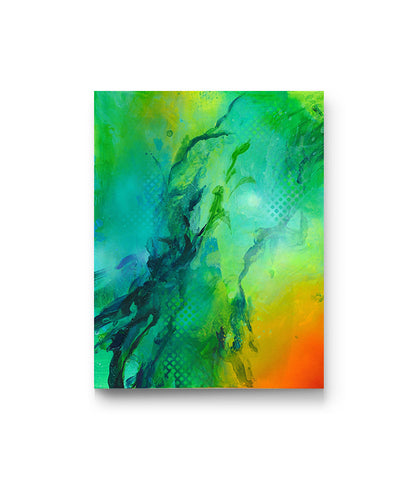 dawn jian｜mistral willows